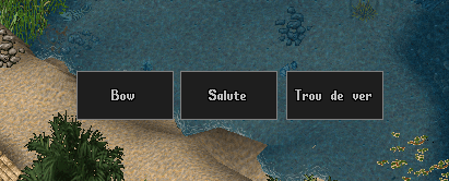 Boutons de macros ajoutés à l'interface