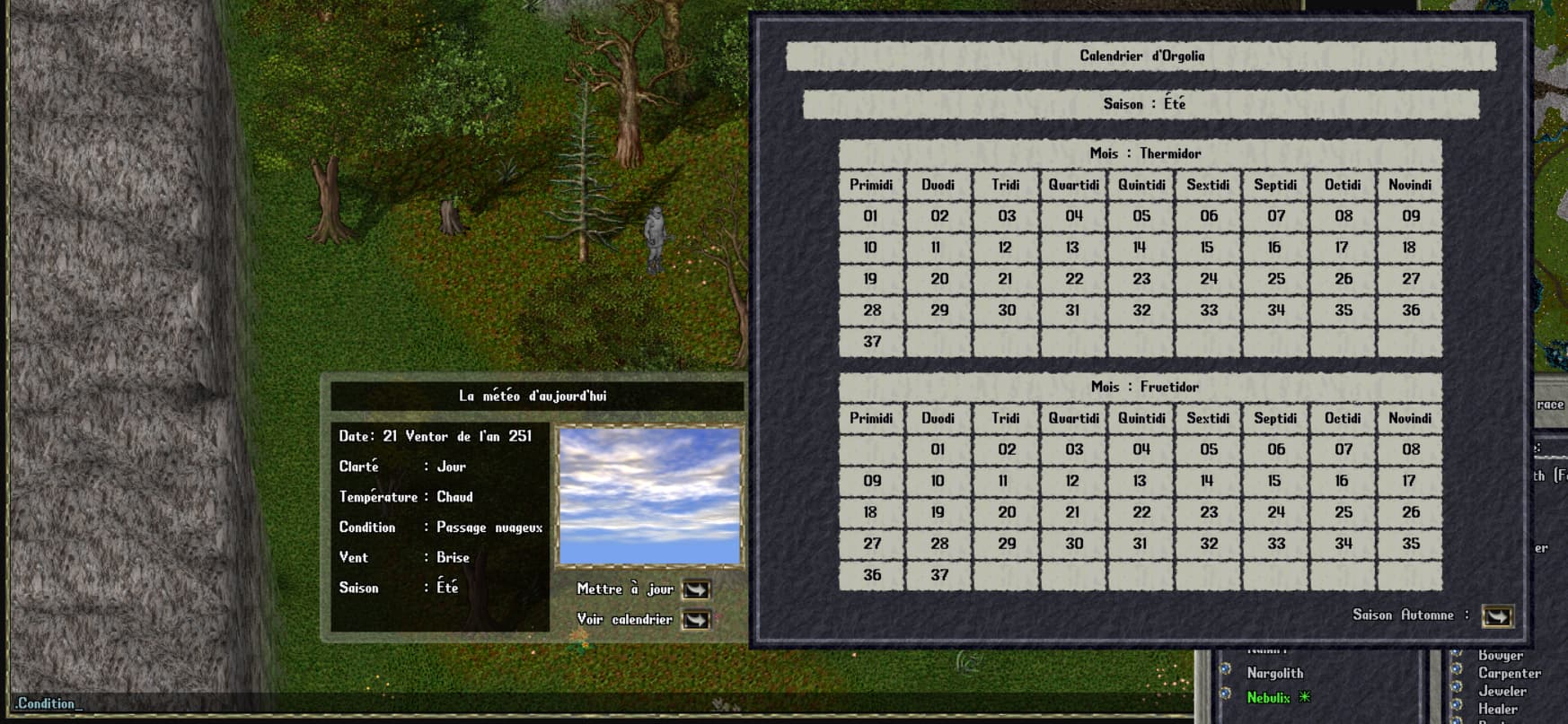 Aperçu de l'interface météo en jeu